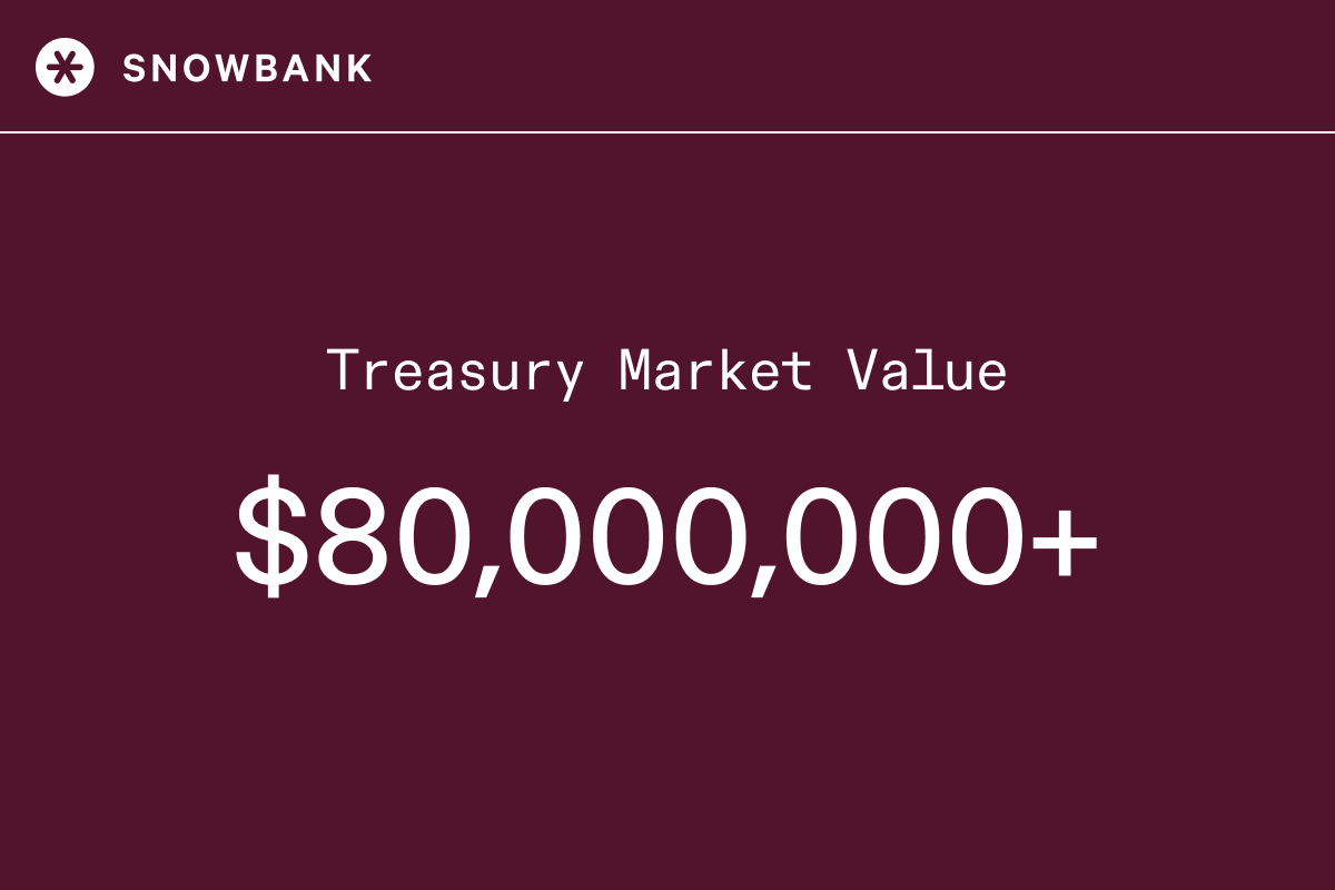 SnowbankDAO's tweet photo. $SB Treasury is growing. https://t.co/5ajUyNbT17