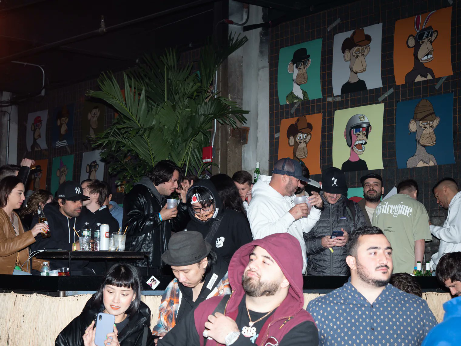 Input on Twitter "Ape Fest 2021 was the highlight of the https//t.co