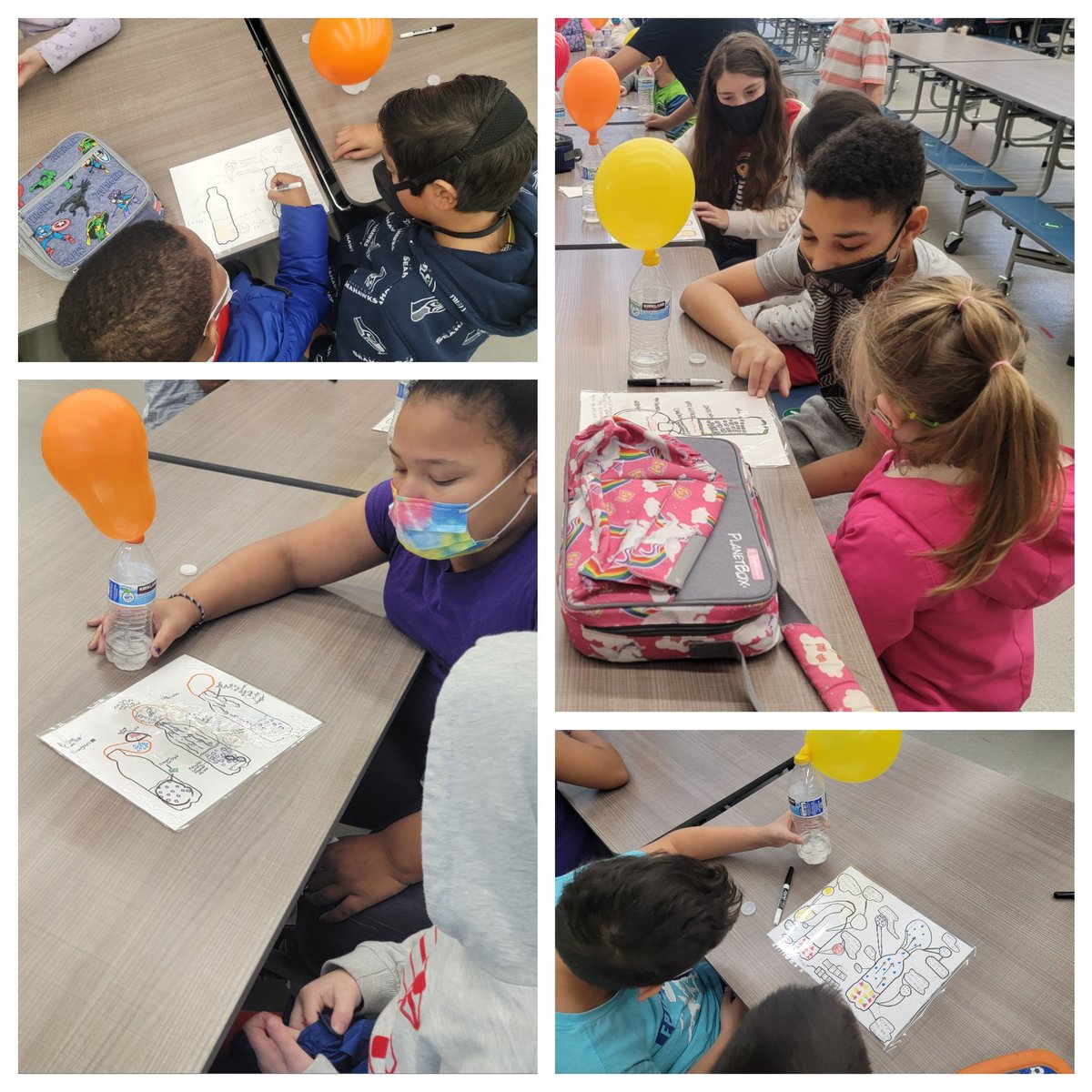 Carolyn Colley, PhD tweet media