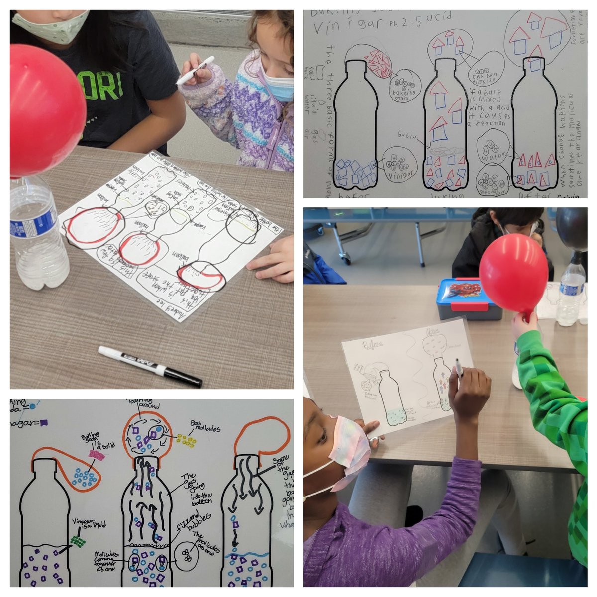 Carolyn Colley, PhD tweet media