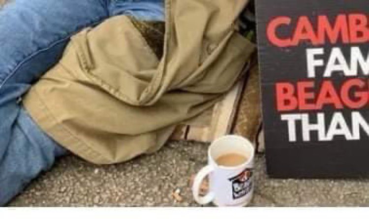 Beagle Welfare tweet media