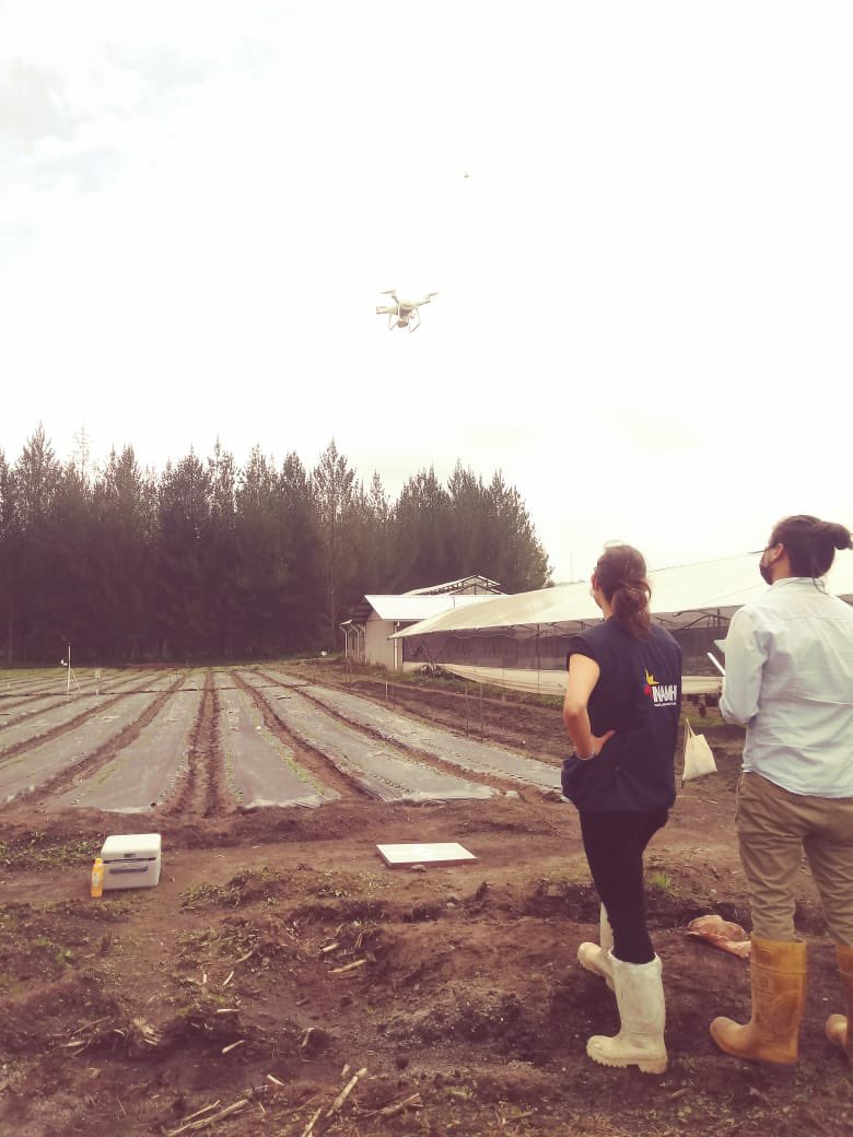 inamhi_ec's tweet photo. Los institutos públicos de investigación INAMHI e INIAP en el marco de la cooperación interinstitucional realizaron la Evaluación del uso eficiente del agua en dos variedades de maíz con cubierta de plástico, utilizando los métodos isotópico y convencional
#cultivos #meteorología https://t.co/qYYsaKZe9x