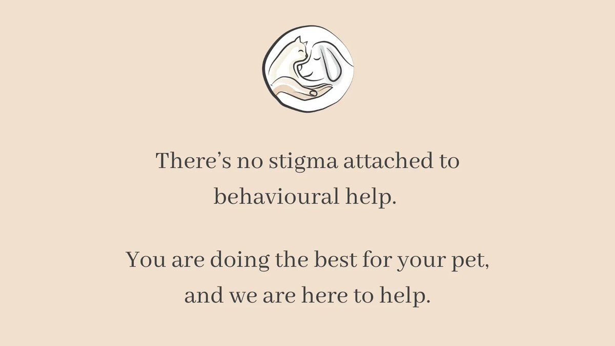 WildPaw's tweet photo. We know it can be frustrating, scary, upsetting, and can cause big arguments in a family when there is a #petproblem. We are experienced and gentle, effective and organised. We plan for the future, to provide rungs to the ladder when you are in the pit of despair. https://t.co/zizxO75UcK
