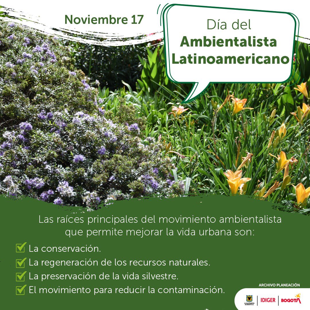IDIGER's tweet image. Ya es momento de que todos y todas seamos ambientalistas💪🏼

Hoy desde el IDIGER conmemoramos el #DíaDelAmbientalistaLatinoamericano reconociendo la importante labor✅ de las personas que cambian sus hábitos y generan importantes efectos a la conservación del medio ambiente🌍