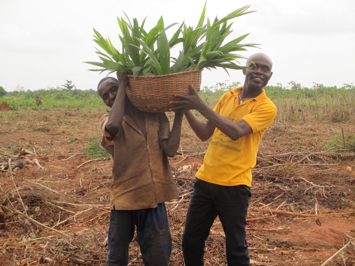 sodevinter's tweet image. Notre Programme pour la Promotion de l’Agriculture (PPA) est mis à exécution depuis plusieurs années. 
Rendez-vous sur Facebook pour plus d&apos;information.
#SodevInternattional #NonprofitOrganization #HelpAfrica #Benin  #Cultural  #Sustainability