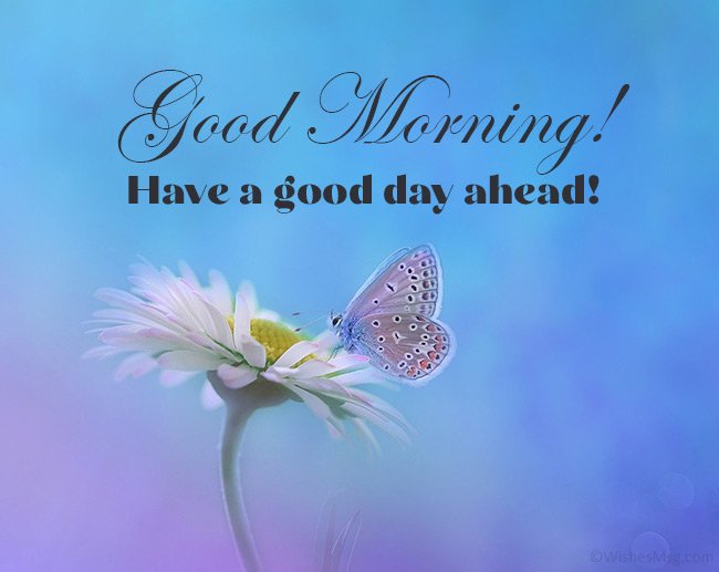Maria68349992's tweet photo. https://t.co/60f2ddMWoJ