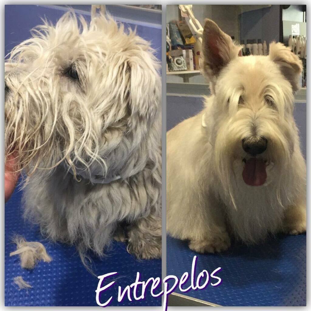 Volver a brillar. 💜💜