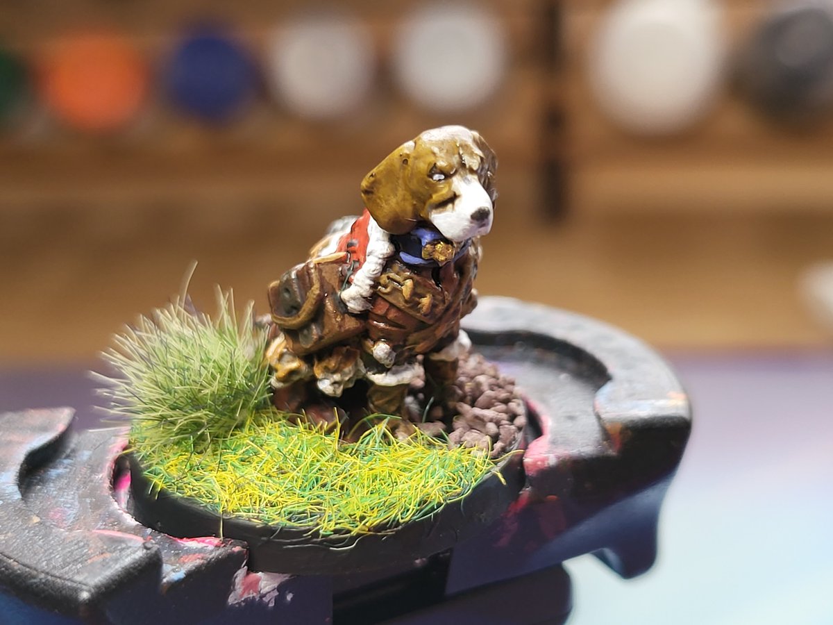 IamFeltip's tweet photo. Dungeons and Doggos number 2 
#miniatures #dungeonsanddragons #PaintingWarhammer #paintingminiatures https://t.co/h6avBszLiK