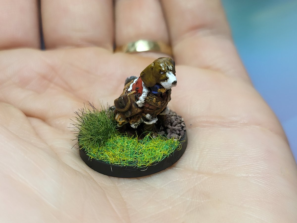IamFeltip's tweet photo. Dungeons and Doggos number 2 
#miniatures #dungeonsanddragons #PaintingWarhammer #paintingminiatures https://t.co/h6avBszLiK
