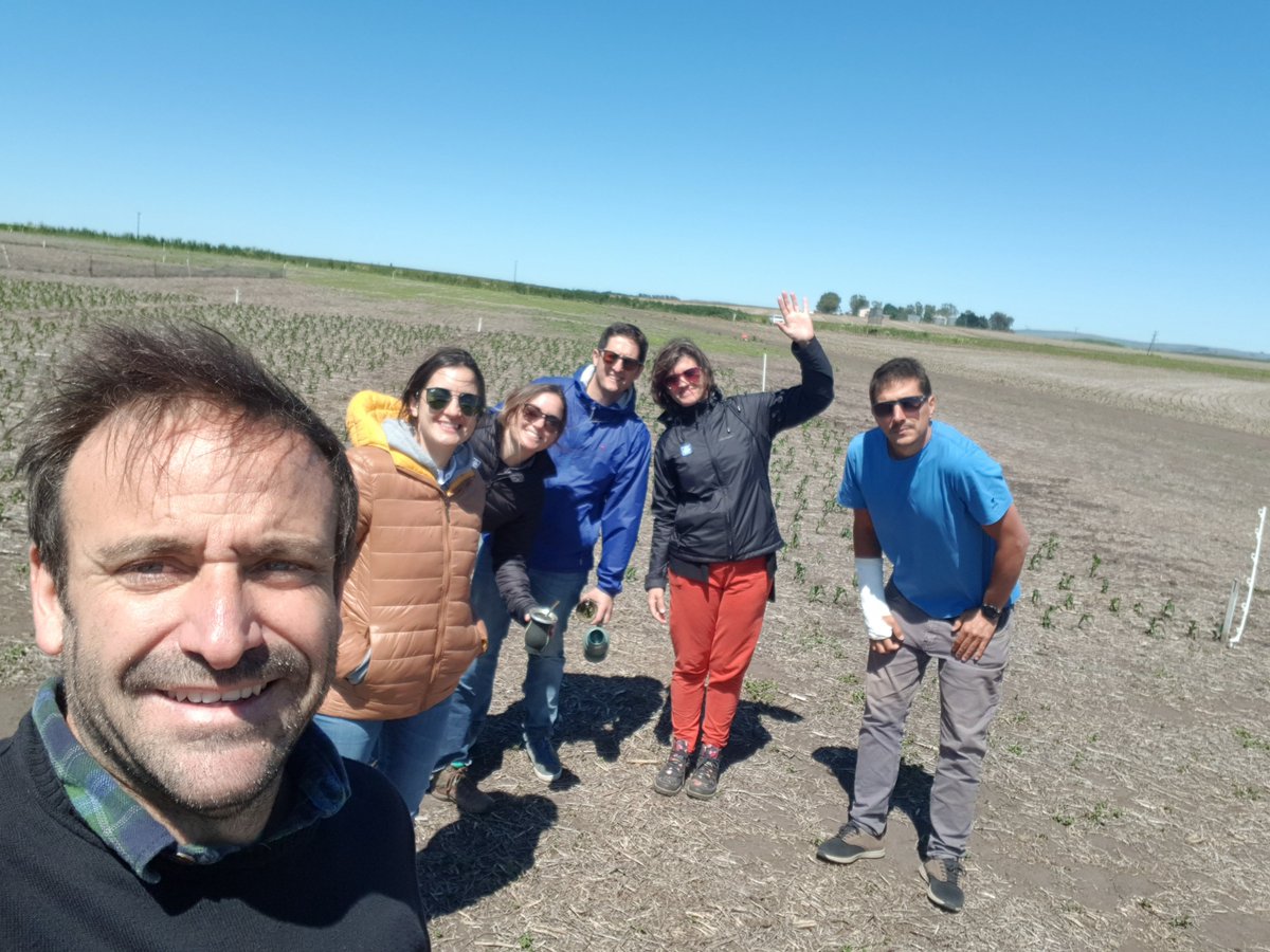 lechu2011's tweet photo. Hoy nos juntamos en el MIB Tandil con los amigos de @YaraArgentina en los módulos donde mediremos efectos de paquetes tecnológicos en cultivos de Maíz y Girasol. Tarea complicada, pero peor es no llevarla adelante!! https://t.co/pQ0l9V4RAF