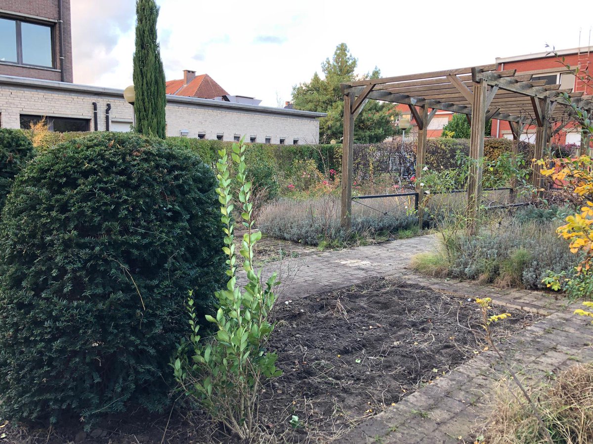 AtheneumMXM's tweet image. Deze middag met vrijwilligers, leerlingen en leerkrachten, samen de handen uit de mouwen gestoken aan de start van de heraanleg van de Romeinse tuin. Mooie collectieve inzet. #samenschoolmaken #GOverbindt @GO_onderwijs @GOinAntwerpen