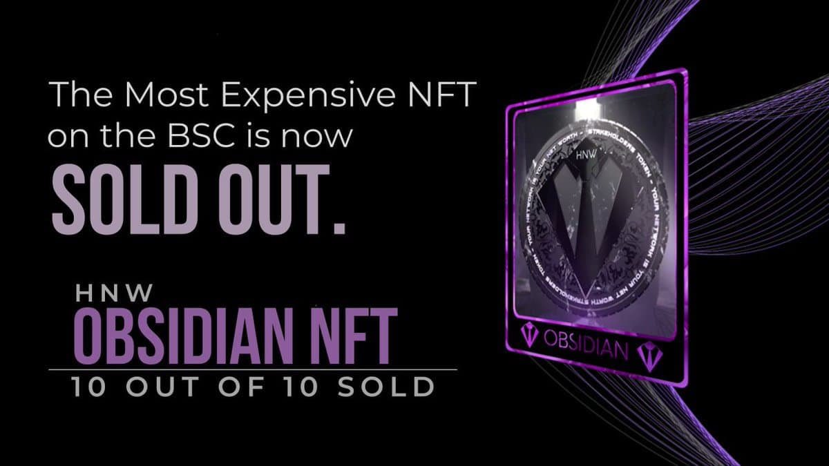 Somman27081991's tweet image. I seriously can’t believe that there is such a project out there in BSC space that pays their stake holders and NFTs holders rewards in HNW worth total $9 mil +. Have passive income by staking or buying NFT! (Note top tiers sold out). Don’t miss out the ELITE TOKEN OF $HNW!!!
