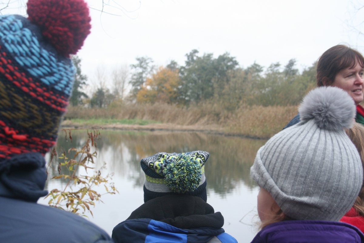 Y3 Teacher tweet media