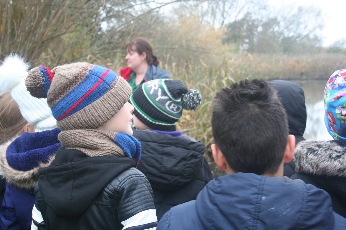 Y3 Teacher tweet media