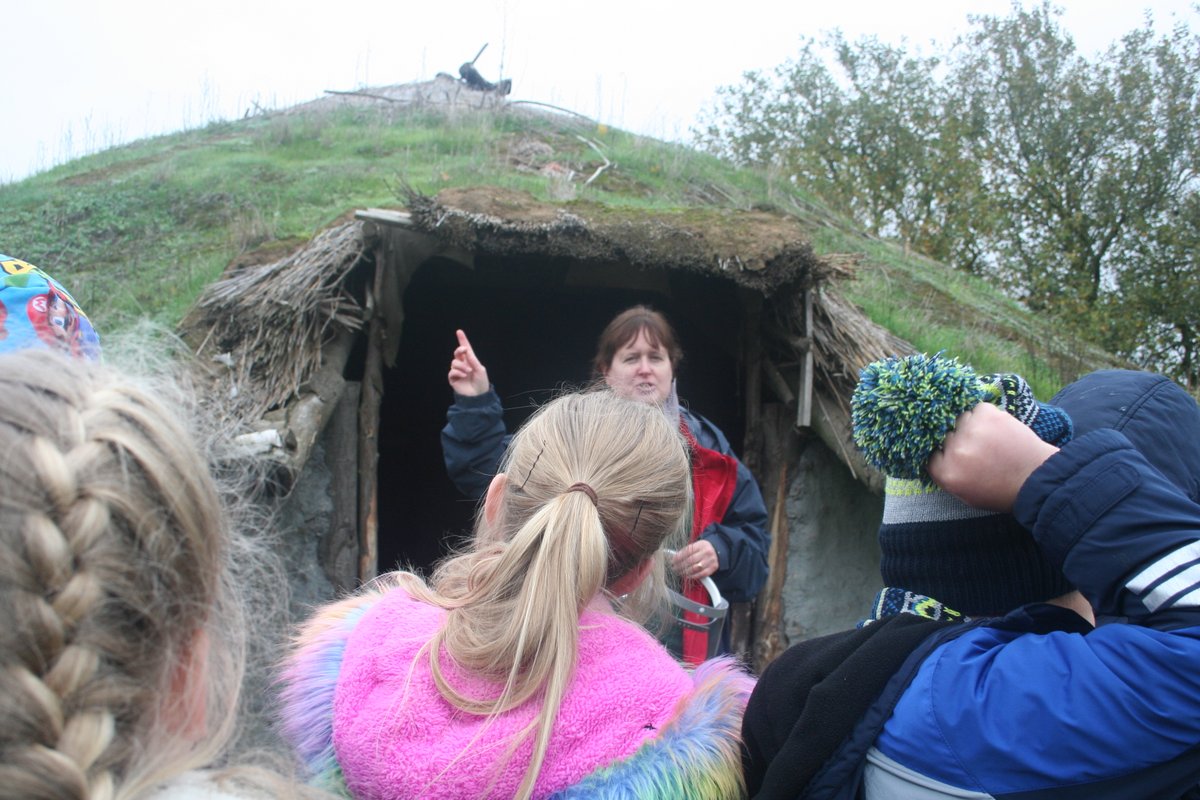 Y3 Teacher tweet media