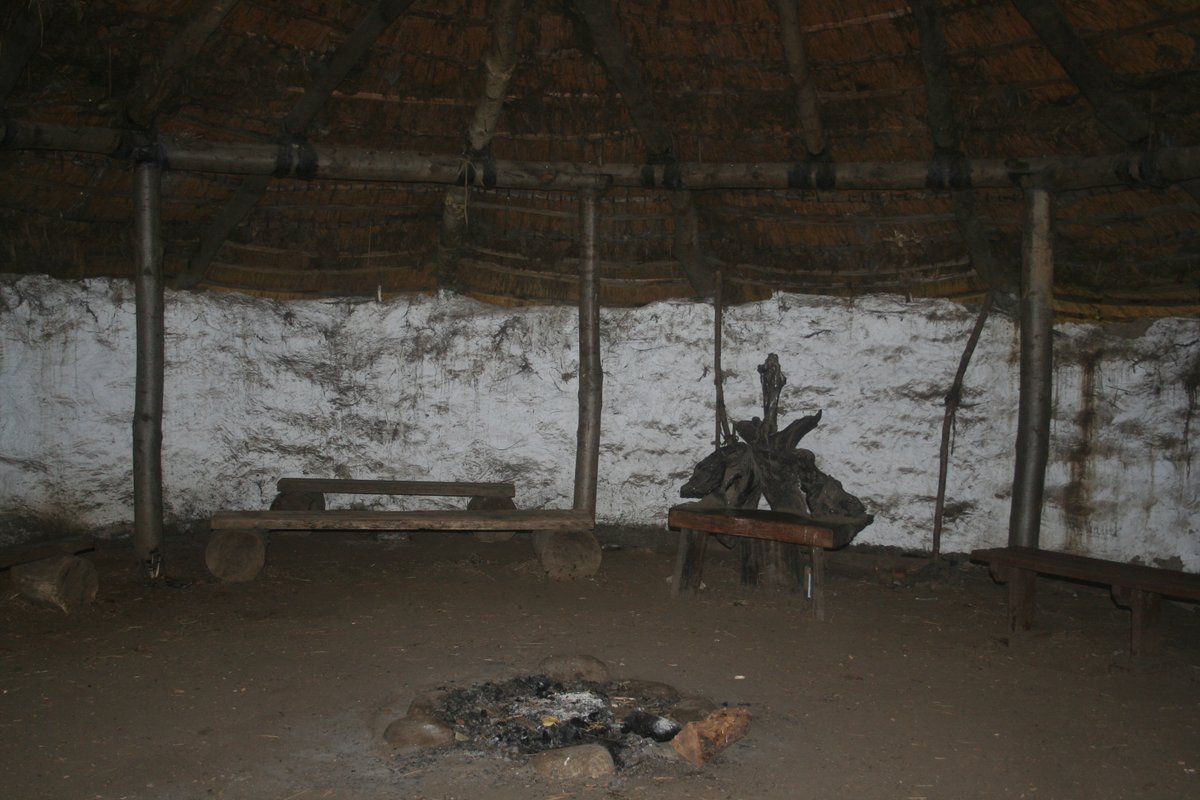 Y3 Teacher tweet media