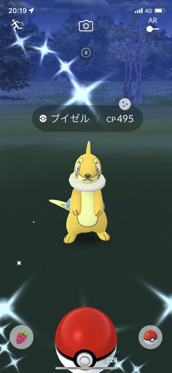 昨日色違い出ました ポケモンgo ポッチャマ ヒコザル ブイゼル 色違い ダイパ発売記念イベント ツイレポ