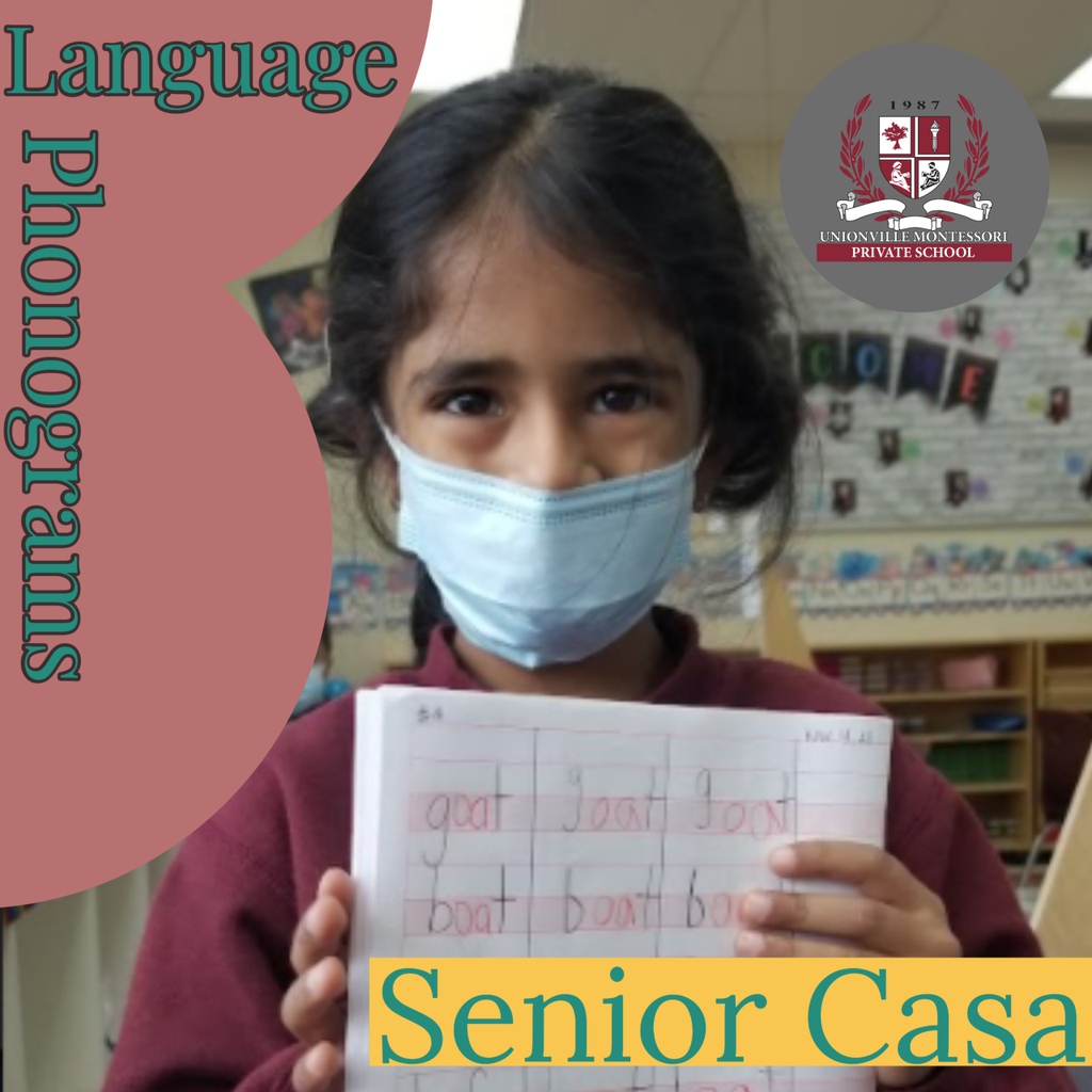 UC_InTouch's tweet photo. PHONOGRAMS- known as the Green Reading Scheme in the Montessori Language curr. Casa students are introduced to phonograms made up of 2 or more letter sounds.  Students work through activities from reading words/matching to objects, to printing in a workbook. https://t.co/hmeAS8uAua