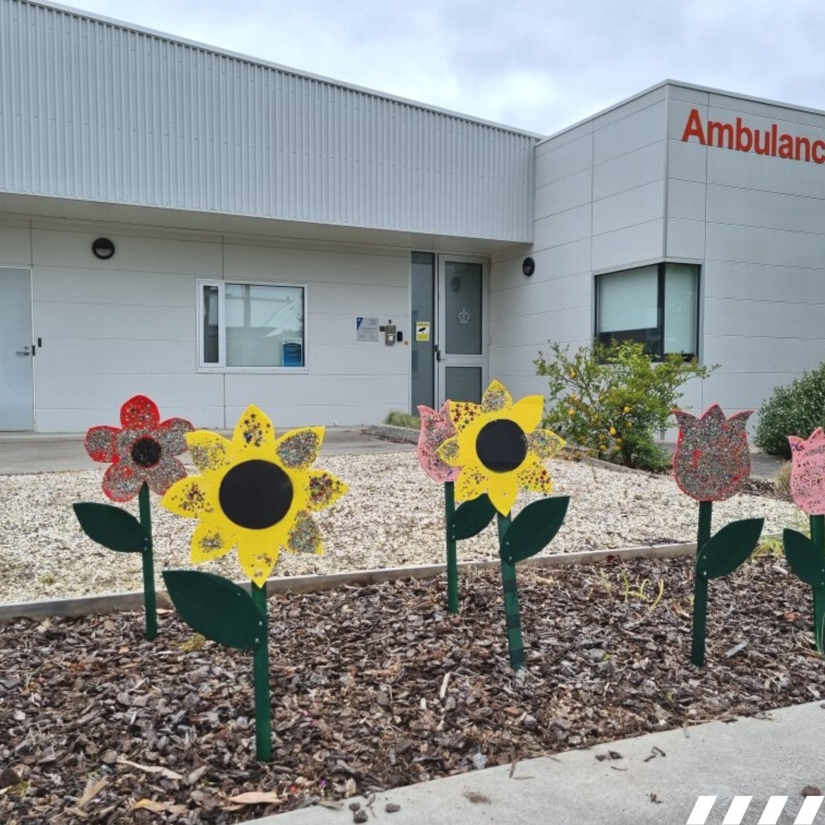 AmbulanceVic's tweet photo. Blooming with kindness💐

Some thoughtful preps from Beaufort Primary School created flowers for our Beaufort Branch to say thank you. 

"I just know that these will put a smile on the face of every paramedic and ACO as they arrive for another busy day," said paramedic Mark. https://t.co/8k7gBQ0Itf