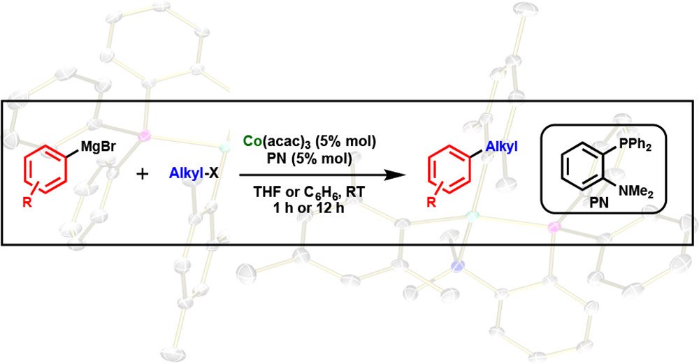 Cobalt-Catalyzed Kumada Coupling Forming Sterically Encumbered C–C Bonds (pubs.acs.org/doi/10.1021/ac…). <a href="/FoutLab/">Fout Lab</a> demonstrates less costly &amp; more environmentally benign first-row metals for catalysis, part of our upcoming <a href="/Orgmet_ACS/">Organometallics</a> Sustainable Organometallic Chemistry Special Issue