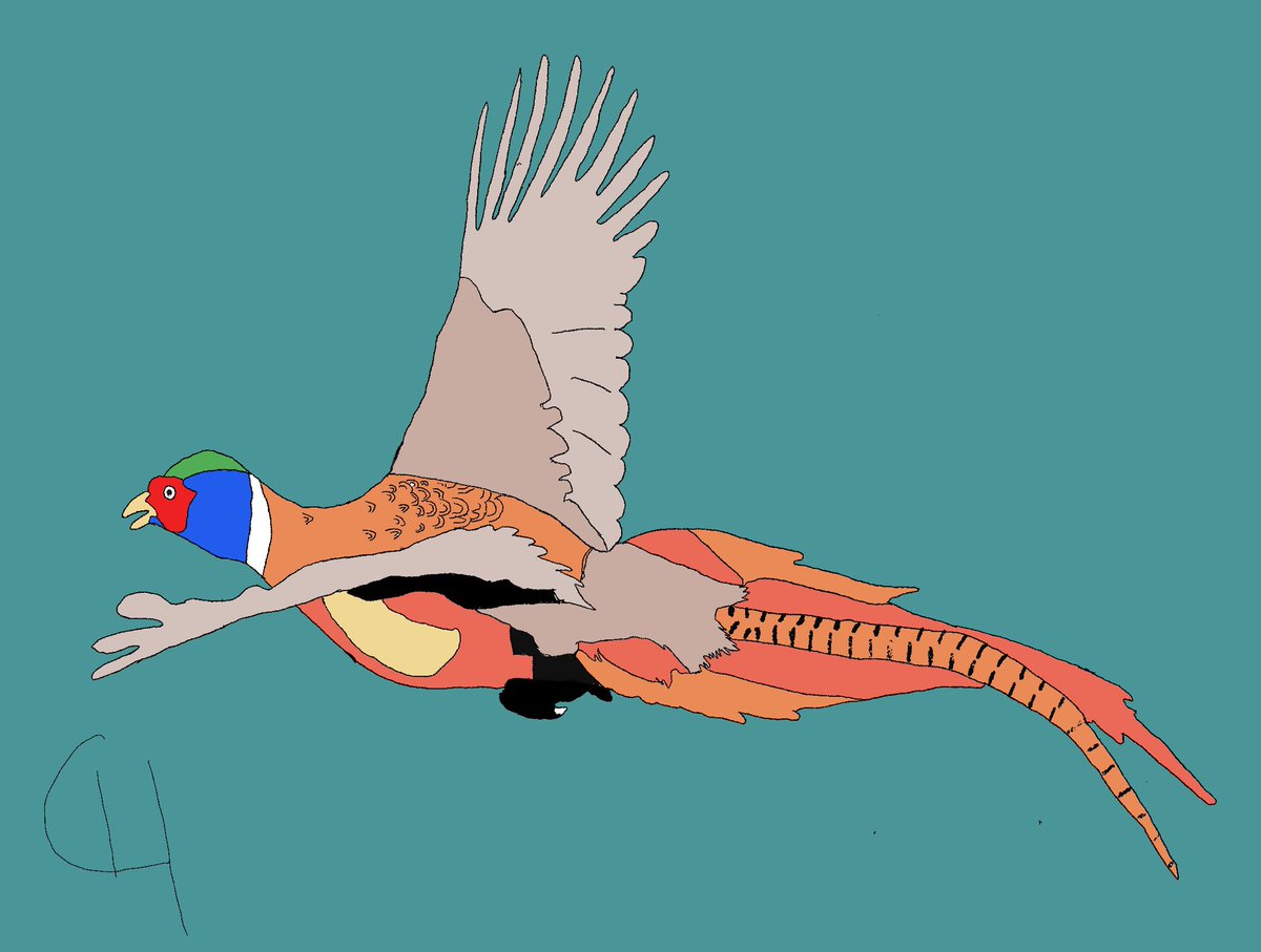 nftkingdom__'s tweet photo. Piece #6 of Collection #3! Another ring-necked pheasant.

-
-
#nft #art #pheasant #opensea #eth #blockchain #crypto #crypocurrency #ethereum #du #handdrawn #helptheanimals #uplandgame https://t.co/NeiqLFp0vR