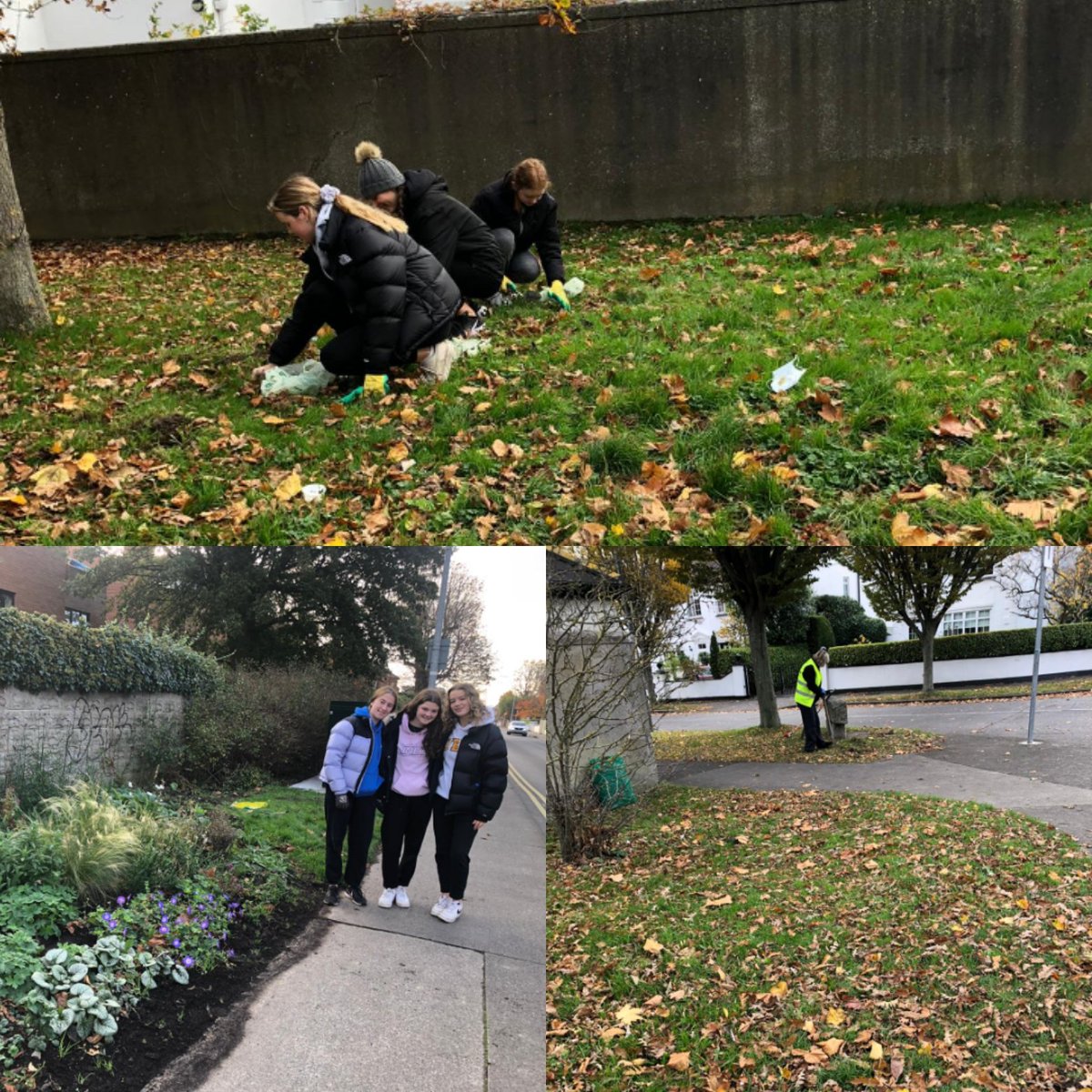 Super work from our #TY helpers from @hfclontarf today helping #GreenUpClontarf with bulb planting. Looking forward to seeing their work bloom in the Spring. Others did a #litter pick on Vernon Ave. @tydotie @TYUpdated