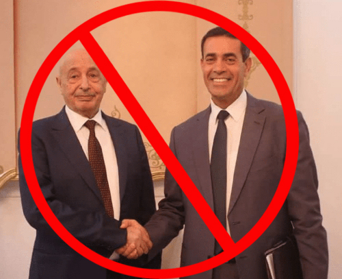 gaddafi_leaks's tweet photo. لا للعميل المدعو #عماد_السايح الذي انتحل منصب رئيس المفوضية العليا للإنتخابات بدون سند شرعي وانحاز لمعسكر الكرامه الإرهابي وقبل بكل التعديلات المفصله على المجرم #حفتر وقبل بترشحه وترشح المجرم #سيف_الإسلام_القذافي https://t.co/MCclIgYpjA
