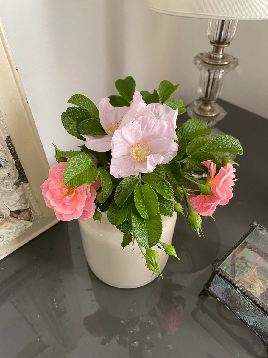 I was scraping the bottom of a Dijon mustard jar to make my favorite vinaigrette and decided it was too pretty to toss! 🤍

beesandbubbles.com/home/mustard-j…