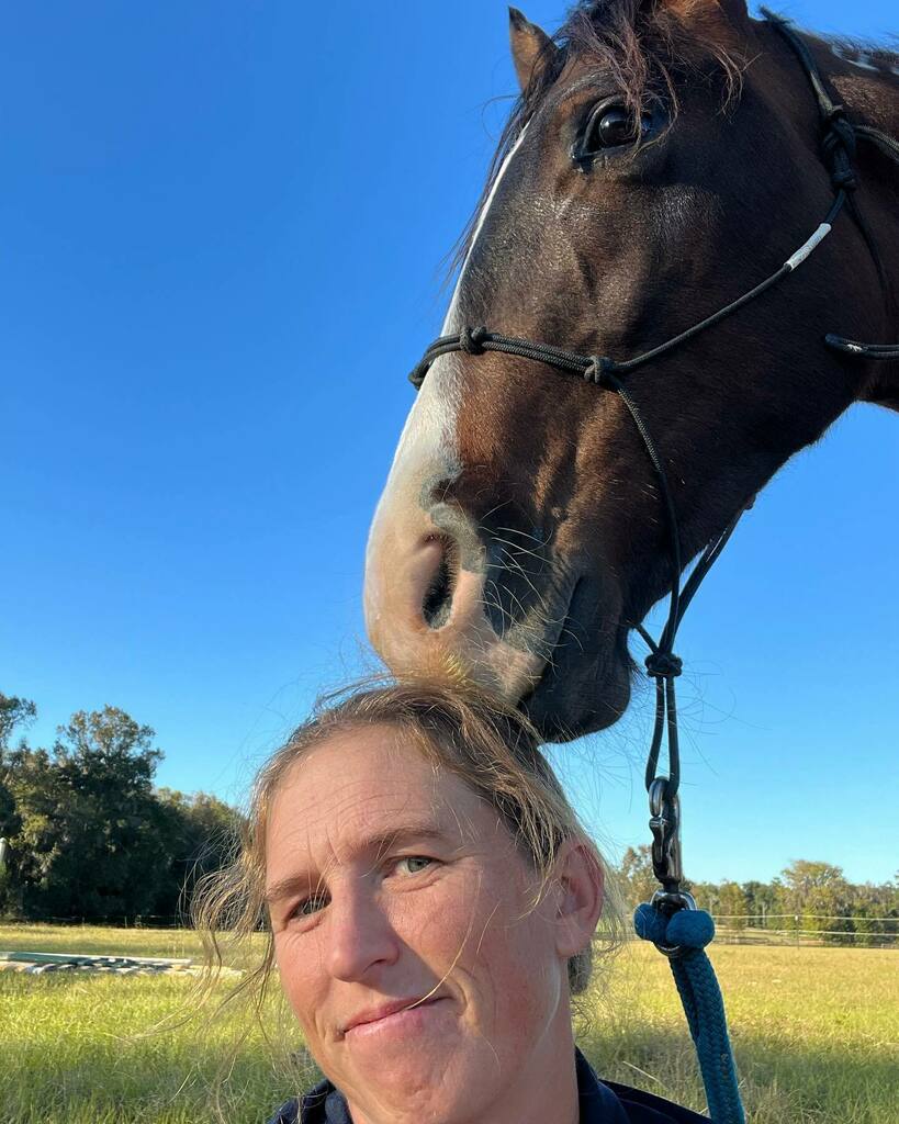 WallaceEventing's tweet photo. Packing up and getting ready to hit the road with a trailer full of stangs. The South Carolina tip challenge and mustang open show. 

#AlodartheMustang 
#FledgetheMustang
#RunetheMustang
#wyeththemustang
#EtontheMustang
#Allurethemustang Meghan’s 
#saves… https://t.co/wwvaxPrASv https://t.co/OmL7XRScUV