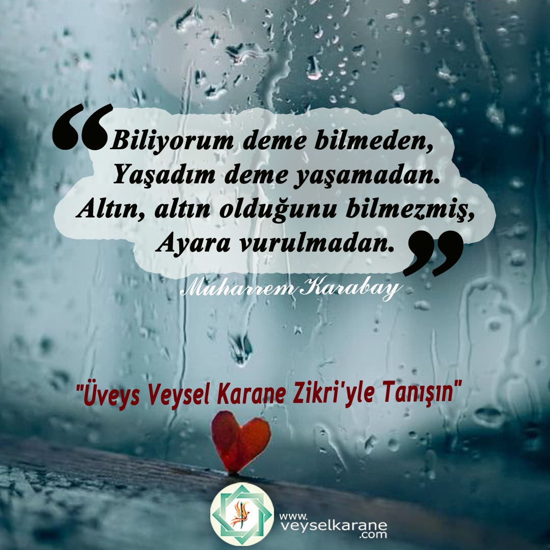 #bolu 
#ölmüş 
#esraerol 
<a href="/veyselkarane/">veyselkarane</a> 🌹
Şuara 89.Ayet: Ancak Allah´a kalb-i selîm (temiz bir kalp) ile gelenler (o günde fayda bulur).