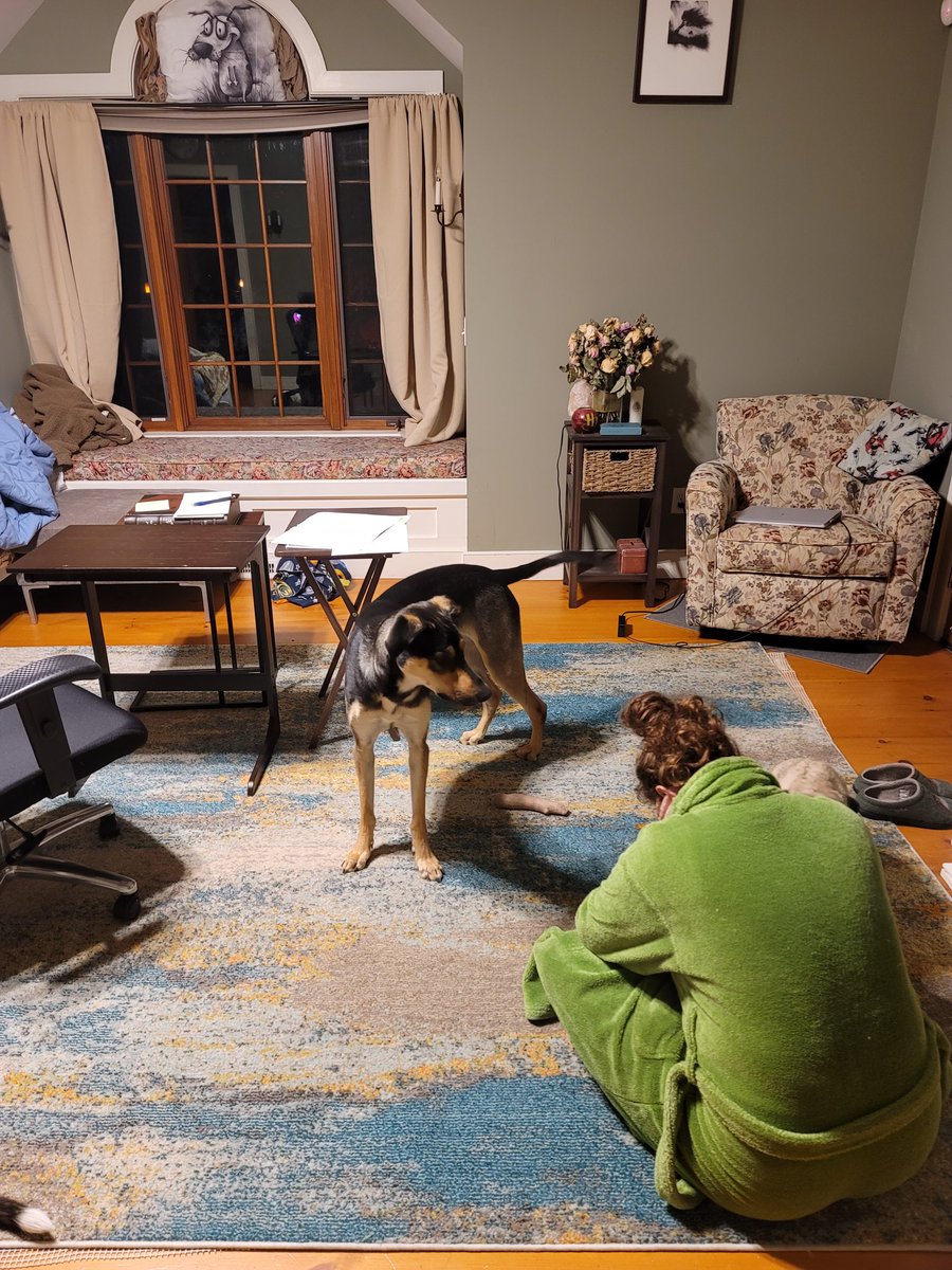 kimcaramele's tweet photo. My husband snapped the CUTEST picture of me writing! #Productivity #VeryWriting #VeryProductiveWriting https://t.co/kxieIOa4cz