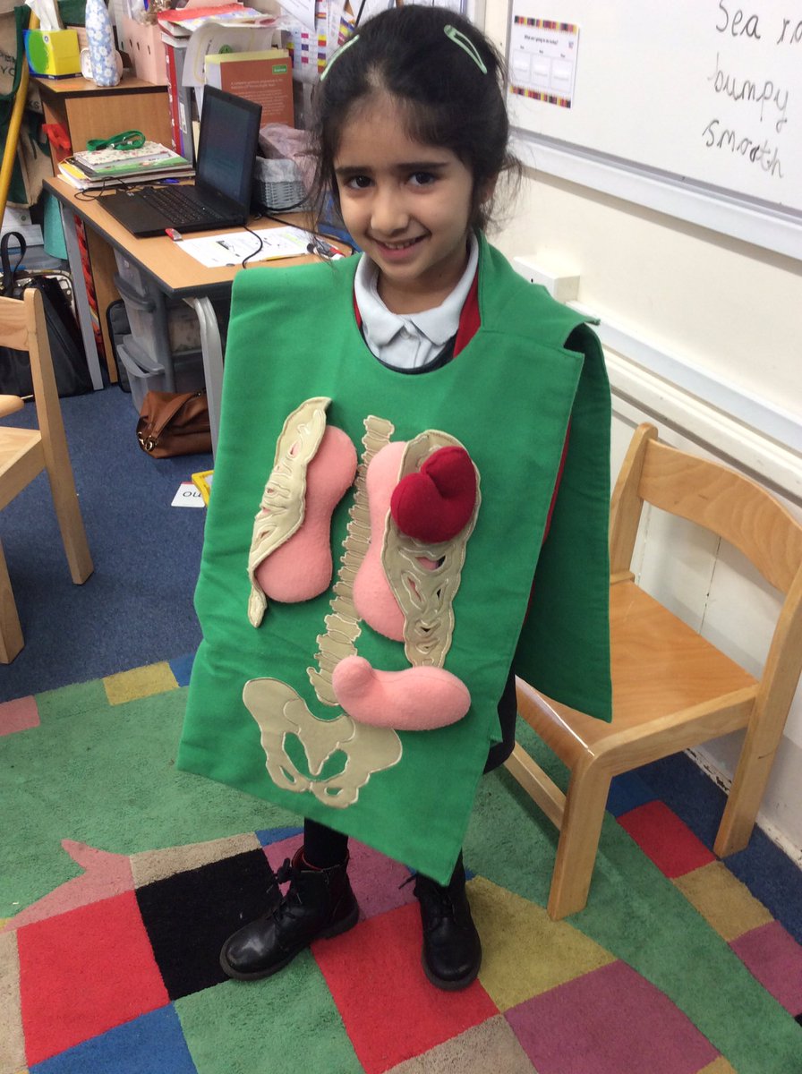 AberfordPrimary's tweet photo. Class Two have enjoyed learning about the human body with the help of D Side Dave. The children learnt how we need to eat healthy food and have regular excercise.Dave explained how important it is to brush your teeth and not to eat too many sweet treats.🦷🧠🥗🍬🍭🚲 https://t.co/BGVWGvzVxa