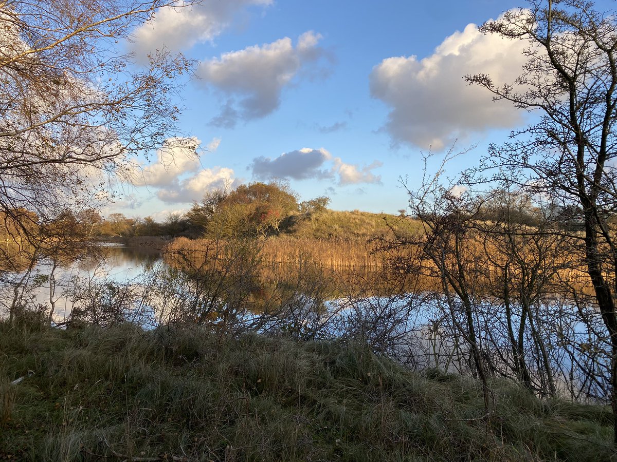 TweetfromLondon's tweet photo. Autumn in the ‘Amsterdam Waterleiding’ Dunes nature reserve 🙏🙏 https://t.co/j6QQmj7wAV