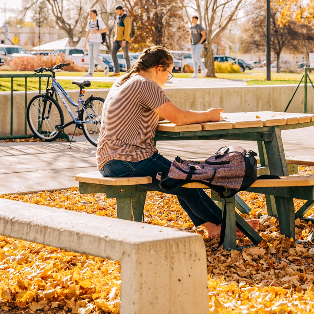 SnowCollege's tweet photo. Take advantage of the warmer weather to study outside as it will start getting colder here in a few weeks!
#studyoutside #snowcollege #fallcolors https://t.co/Y5RErVZ86Q