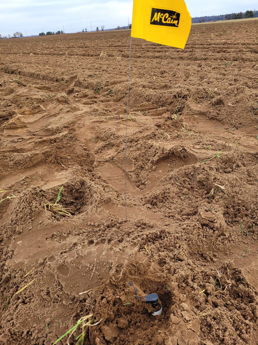puls9sean's tweet photo. #Badgers country #Potato country now #Sentek and #Groguru country #McCain Foods Eco-Potato #agtech 💦💪🥔🇺🇲🌽 https://t.co/BHfQdsH8IM
