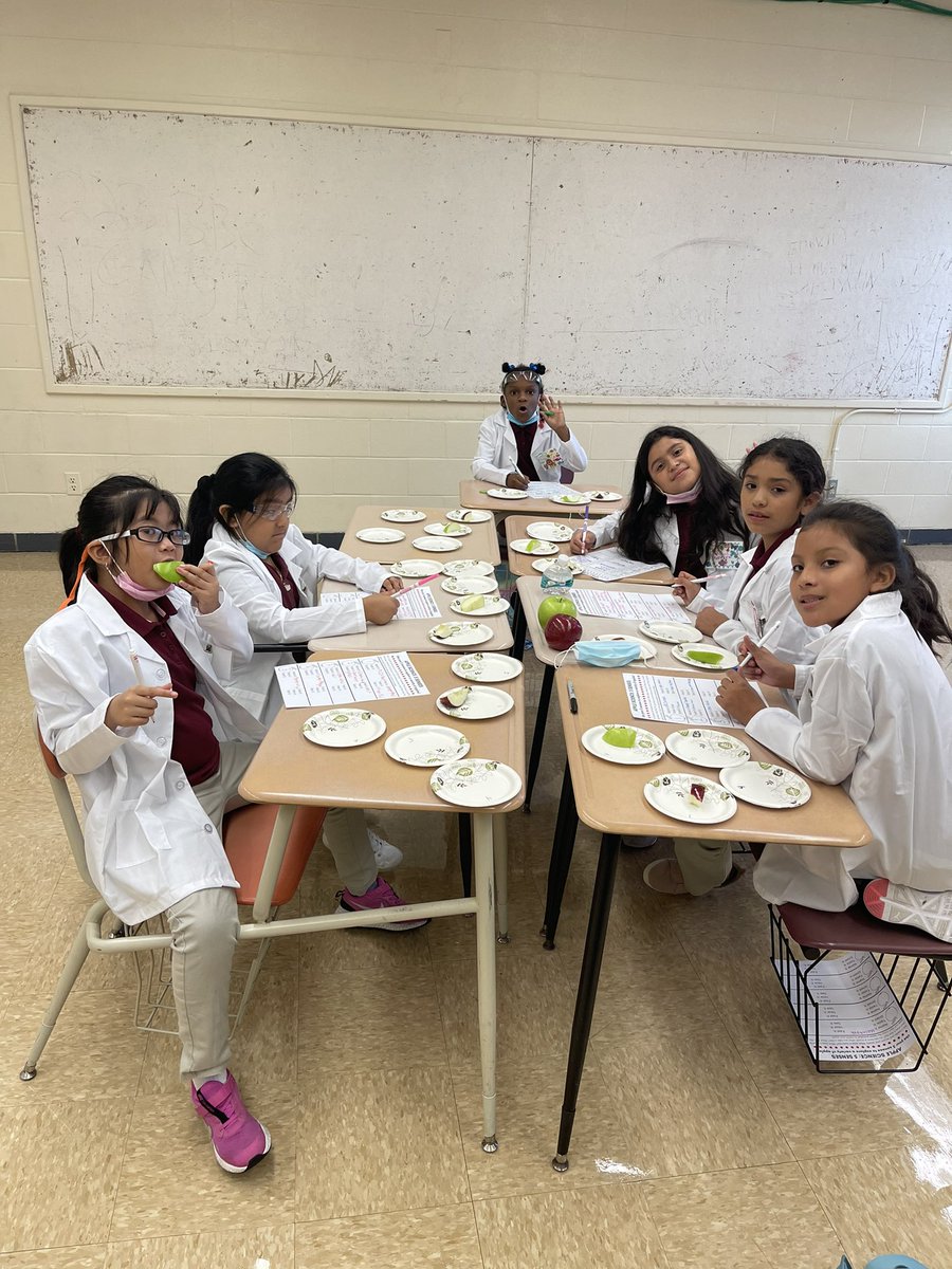 Our Steamtown Scientists using their 5 senses to explore apples 🍎
