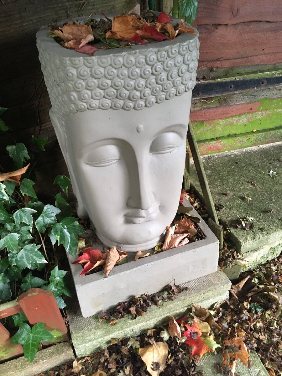 Jan_Lentzos's tweet photo. Our back garden #Buddha...
Wearing his #Autumn Crown 😌
🍁🍂🦔🍃☸️🍁🍂🦔🍃
#WaterFeatureWednesday #AutumnLeaves #WaterFeature #AutumnVibes #FallenLeaves #InMyGarden #WildlifeGarden #ColoursOfAutumn #AutumnColourPalette #NatureTherapy #Awareness #SolaceInNature #EverydayBeauty https://t.co/Mi4euNGhwj
