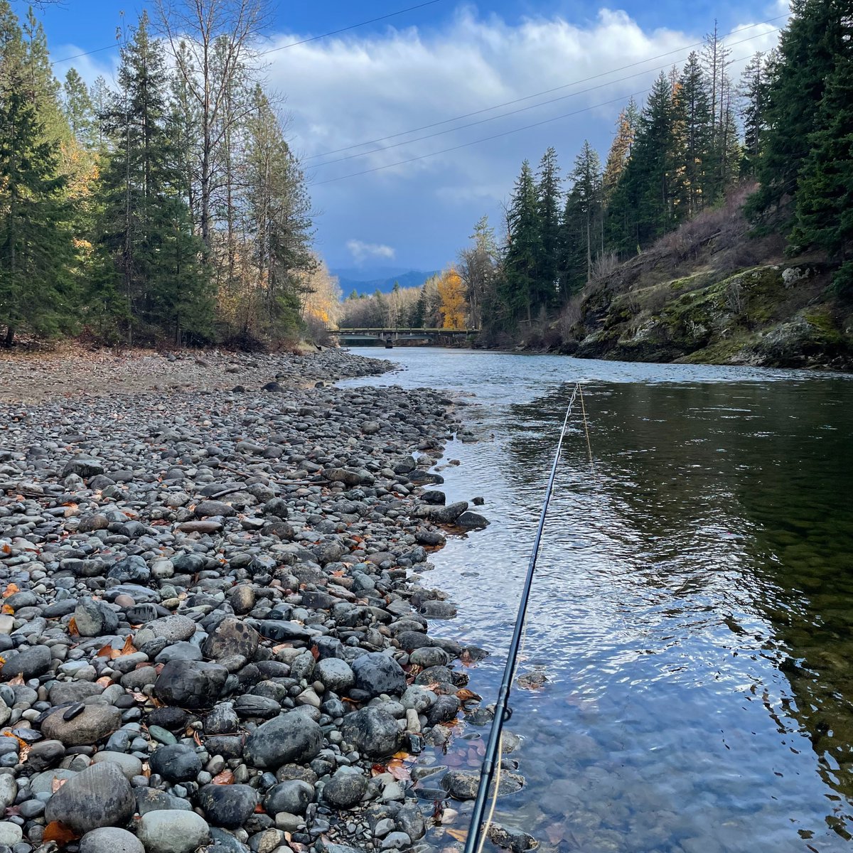 Angler's Coffee tweet media