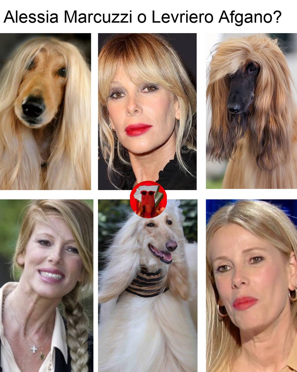 ALESSIA TE PREGOOOOO 😭