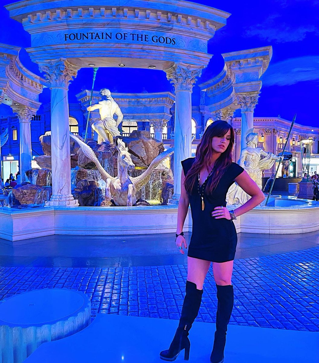 Rachele Brooke Smith tweet media