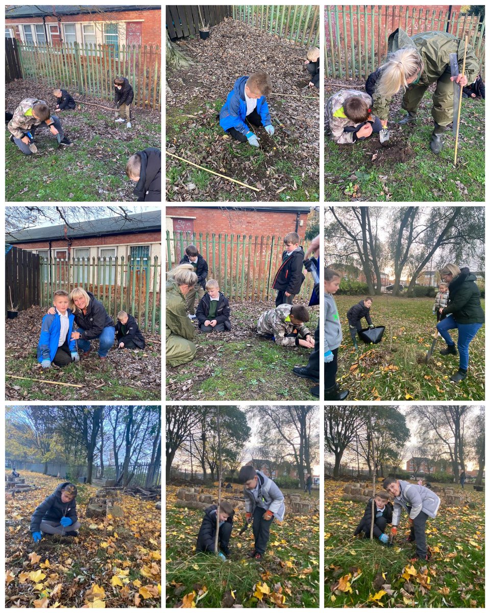 broadwayjuniors's tweet photo. Thank you so much to the @tree_appeal for donating 100 trees to school. An extra special thank you must go to these AMAZING Year 5 volunteers, who gave up their time after school to plant them.π€©π³ #ShineBright #Volunteer #BeKind #TreeAppeal https://t.co/BLyXO4tIYP
