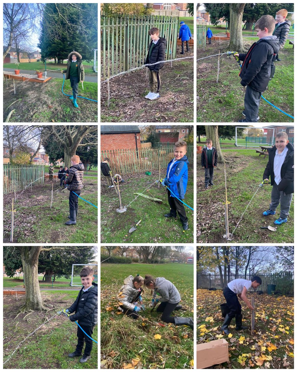 broadwayjuniors's tweet photo. Thank you so much to the @tree_appeal for donating 100 trees to school. An extra special thank you must go to these AMAZING Year 5 volunteers, who gave up their time after school to plant them.π€©π³ #ShineBright #Volunteer #BeKind #TreeAppeal https://t.co/BLyXO4tIYP