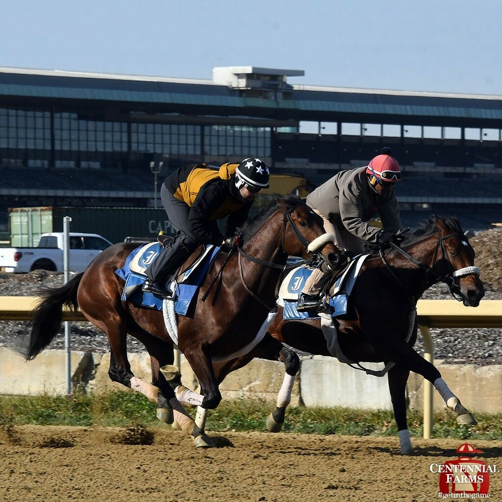 Centennial_Farm's tweet photo. Greg's Honor, shown outside of company last week, was back at it again this morning! The two-year-old posted his second half-mile move of the fall on the #BelmontPark training track. #goGreggo #StubbyStrong #horseracing #horsesofinstagram #nofilter https://t.co/cnBfarLNft https://t.co/B1dffcxkv0