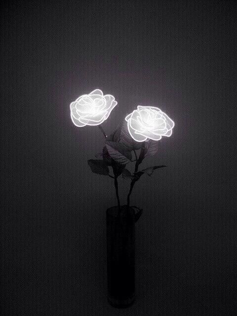 EyArmas's tweet photo. 🖤🖤🖤🖤 https://t.co/kHkoYuWOFL