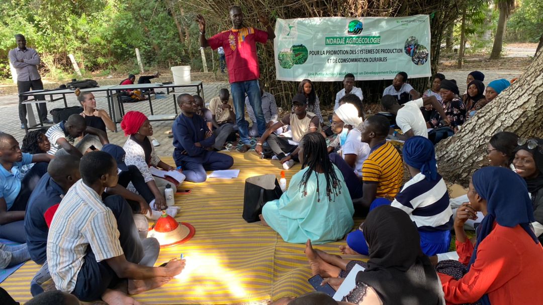 linosall55's tweet photo. #NdadjeAgroecologique N3: Débriefing sur la #COP26 avec Professeur FALL à l' #UCAD .
@UCAD_Senegal #JVESenegal #DebriefCop26 @BoellSenegal @PronatEnda @UEauSenegal https://t.co/h6TJEtE3cL