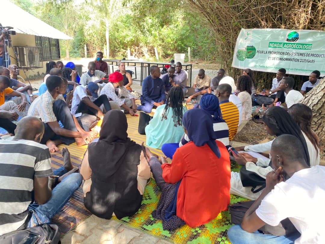 linosall55's tweet photo. #NdadjeAgroecologique N3: Débriefing sur la #COP26 avec Professeur FALL à l' #UCAD .
@UCAD_Senegal #JVESenegal #DebriefCop26 @BoellSenegal @PronatEnda @UEauSenegal https://t.co/h6TJEtE3cL