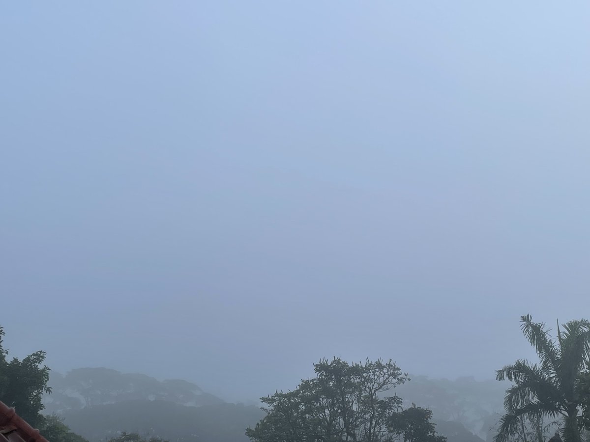 Selamat pagi semuanya. Kabut cukup tebal di pagi hari ini. 

Hati2 bila berkendara 🙏 Jangan lupa nyalakan lampu besar &amp; jaga jarak aman antar kendaraan 🙏

Semoga selamat sampai tujuan
<a href="/infomalang/">Info Malang</a> <a href="/cityguide911fm/">City Guide 911 FM</a>