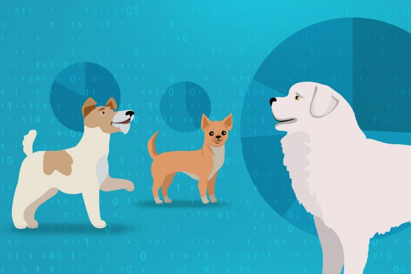 Curious about what the #DOGEALLIANCE is all about?

Join the community on Telegram:
News much soon.

⭐🐕🐕🐕🐕🐕🚀t.me/dogealliance_c…

#BSCGem #BSCGemsAlert #doge $DOGEALLY #DeFi4DogesSpaceWide