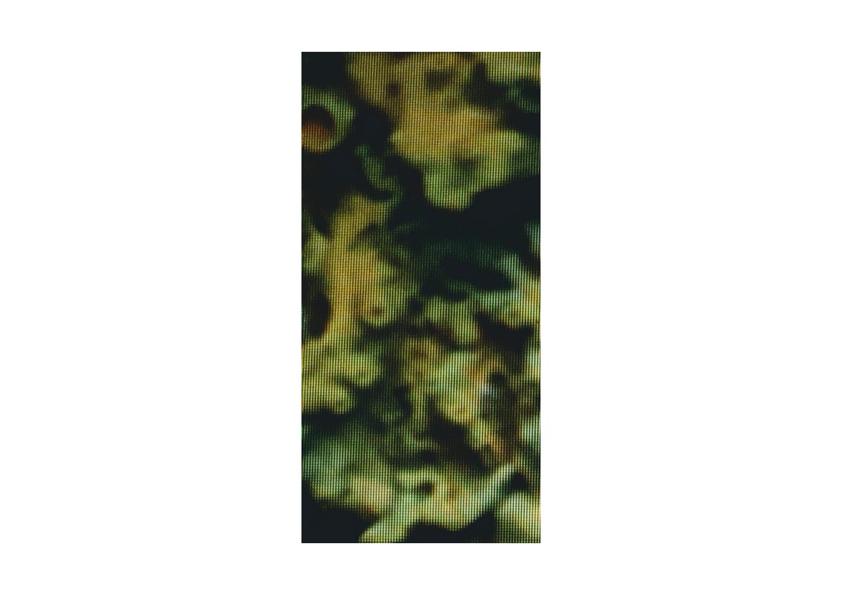 pl1ts's tweet photo. while 00X is not on the primary market, some pieces from //very close to nature// are still available.
002 https://t.co/T9FPSfbJMs 2/5
005 https://t.co/RzvOkJm3yN 2/5
006 https://t.co/3tSpehSaQ6 2/5
007 https://t.co/xAsurqUltV 2/5
@onhicetnunc #henisalive #cleannft https://t.co/Ii6X0kJAou