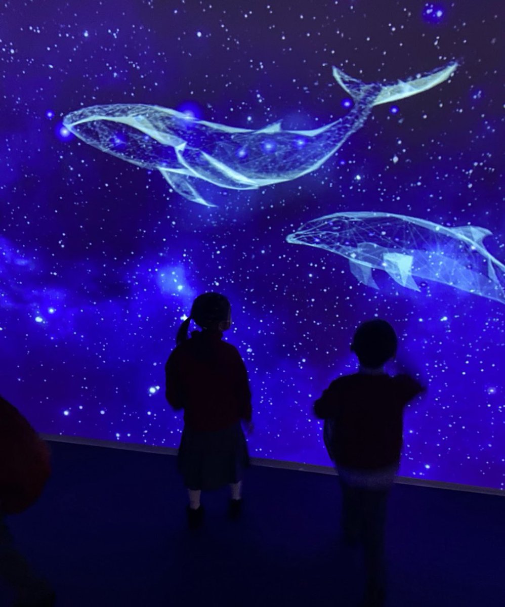 Our #StBosco classes had an amazing experience at the #CubeODiscoveryPark. The children loved touching the tanks and tubes of jellyfish and looking really closely at them. A magical sensory experience for everyone. #SEN #EducatingHeartsAndMinds #AnfieldSchoolHK #HongKongSchools